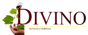 divino_logo_portal